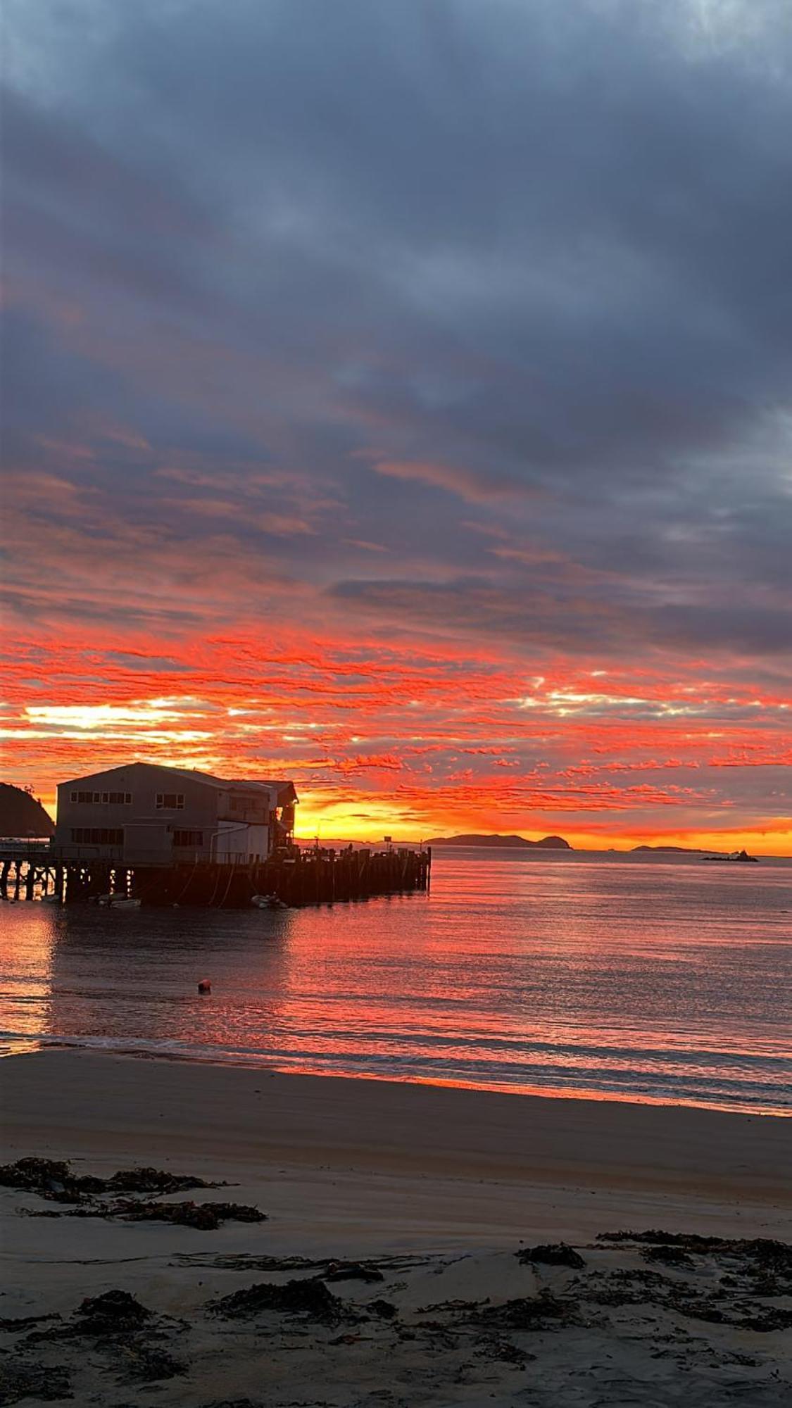 هاف مون باي South Sea Hotel - Stewart Island المظهر الخارجي الصورة
