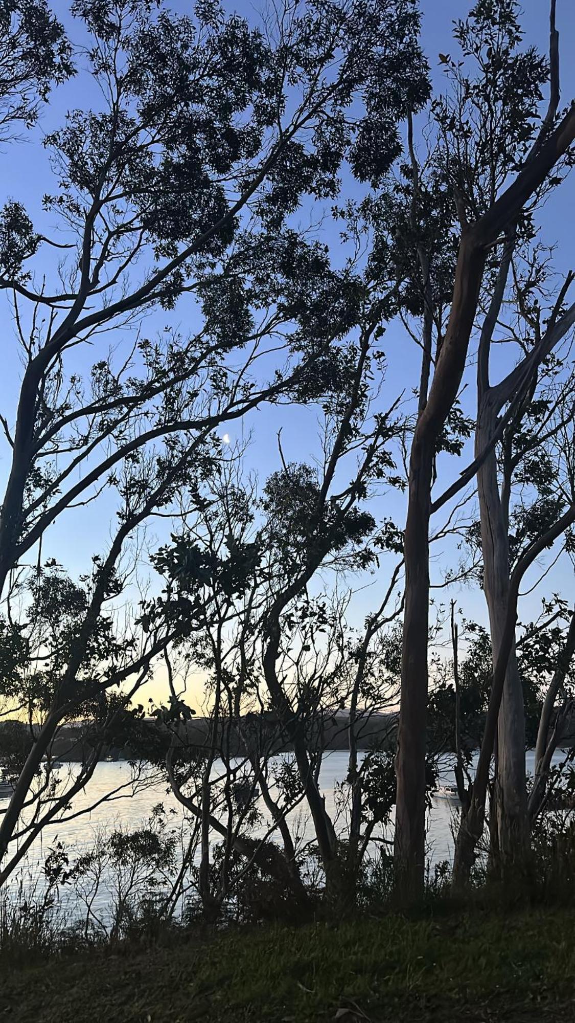 هاف مون باي South Sea Hotel - Stewart Island المظهر الخارجي الصورة