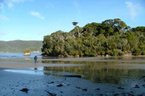 هاف مون باي South Sea Hotel - Stewart Island المظهر الخارجي الصورة