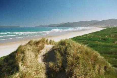 هاف مون باي South Sea Hotel - Stewart Island المظهر الخارجي الصورة